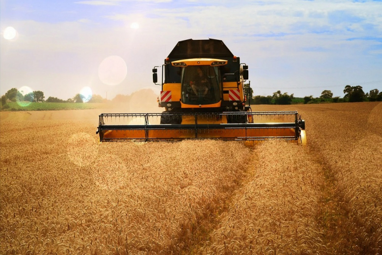Экспортную пошлину на пшеницу c 25 мая снизят до $110,5